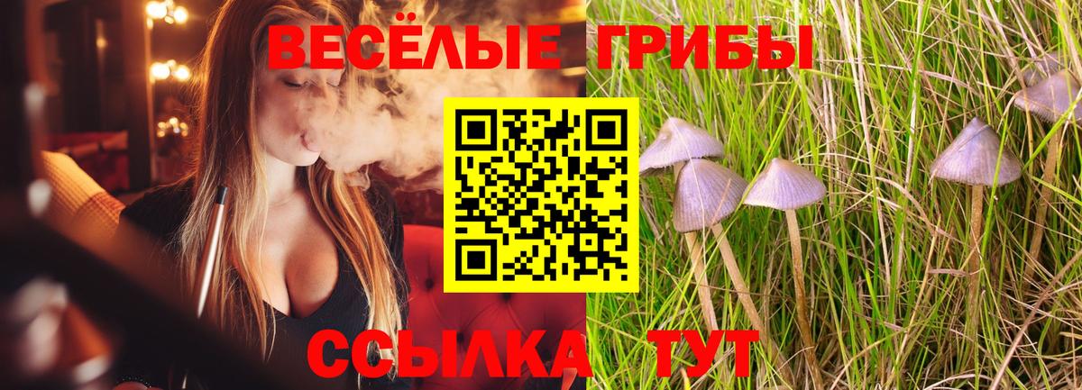 Галлюциногенные грибы прущие грибы Ухта