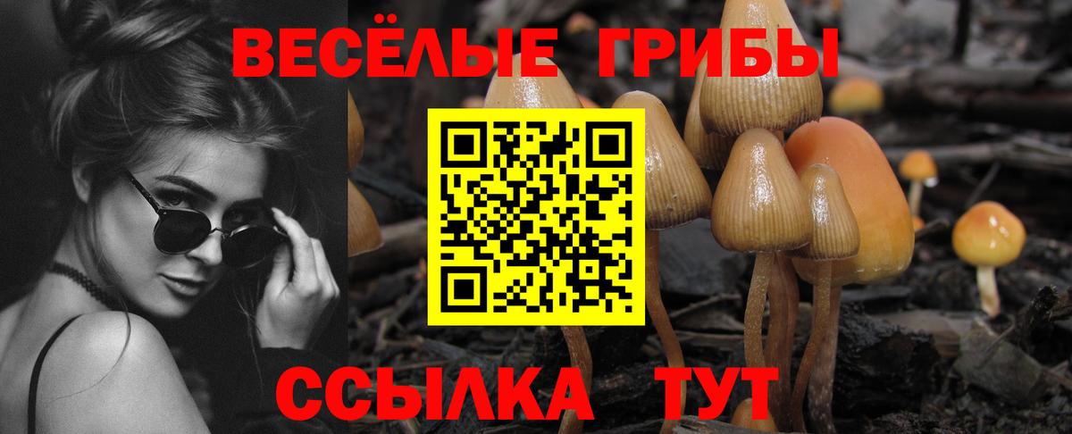Псилоцибиновые грибы мухоморы  Вход с VPN  Псилоцибиновые грибы мицелий  Ухта 
