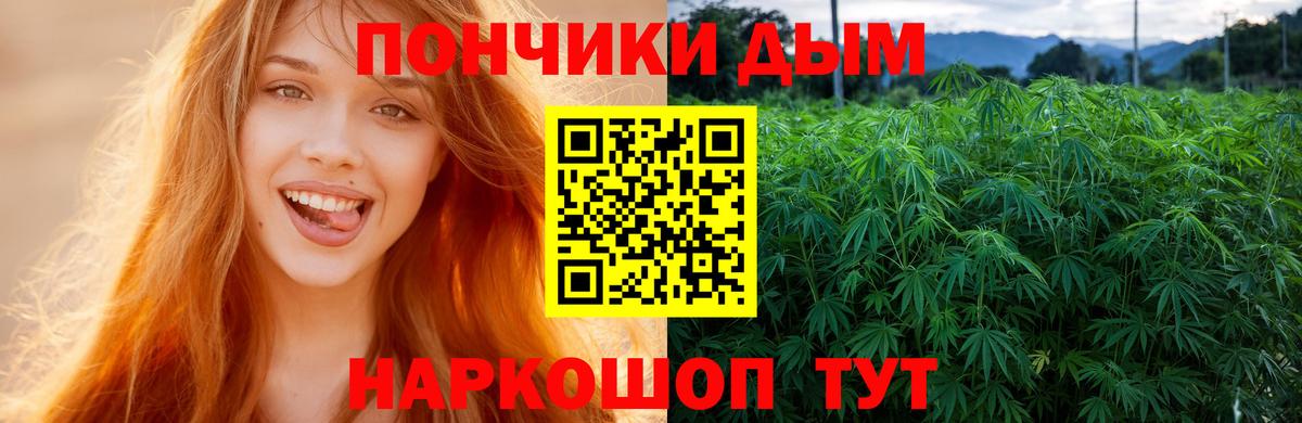 Каннабис SATIVA & INDICA Ухта